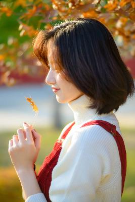 狂野少女免费完整版中文,狂野少女电视剧免费播放