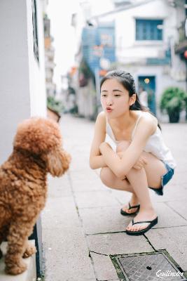 小日子电视剧在线观看全集免费