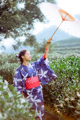 花房姑娘8电视剧免费观看